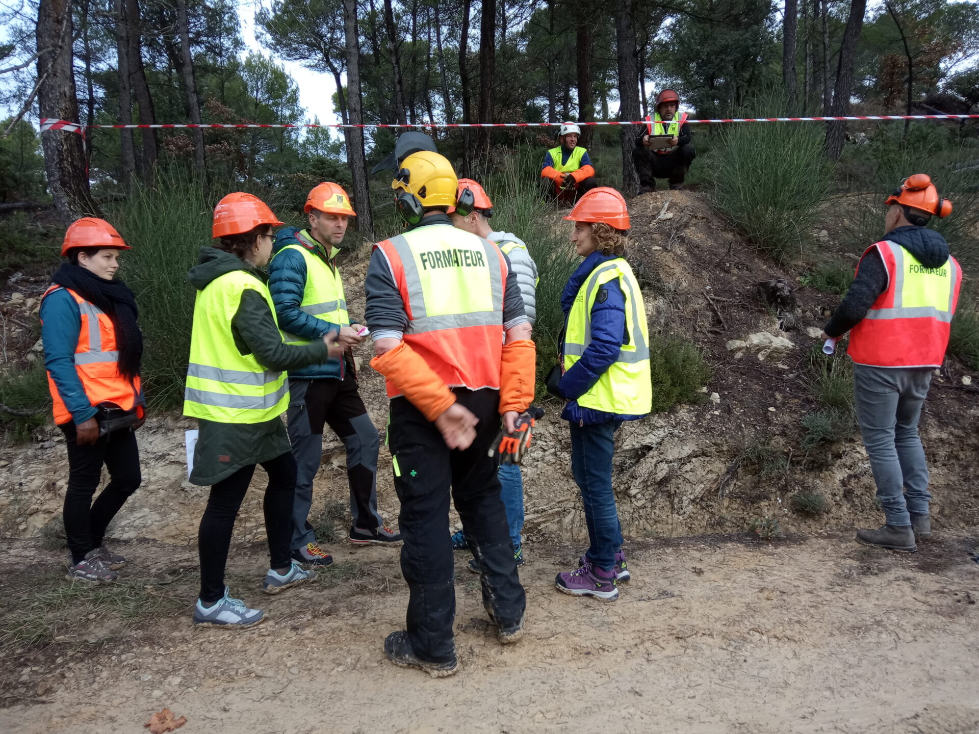 Trabalhador florestal com equipamento de proteção